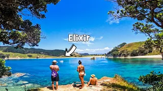 Lost in the Wild Islands of AOTEAROA (New Zealand Sailing Adventure)