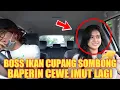 Lagu PRANK TAXI ONLINE || AWALNYA JUTEK, CEWE MANIS INI AKHIRNYA SENYUM JUGA || BOS IKAN CUPANG SOMBONG