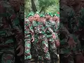 Download Lagu Yel Yel TNI Terpesona // Story WA