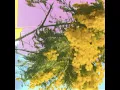 Into Dust (Still Falling) - Four Tet
