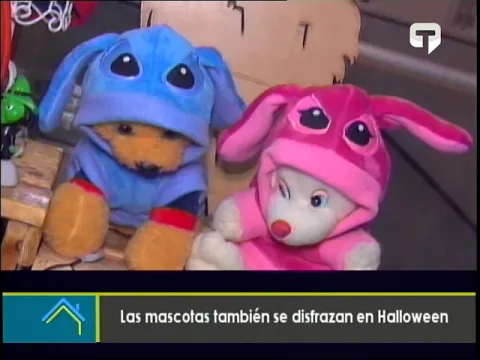 Las mascotas también se disfrazan en Halloween