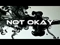 Crimson Vale - Not Okay (Official Lyric Video)