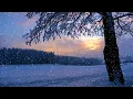 Download Lagu Doamne ai grija de noi - Colind nou - ☃️❄️
