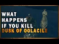 What Happens if you Kill Dusk of Oolacile in Dark Souls Remastered