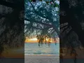 Download Lagu Beautiful Beach Tiktok nrazhr