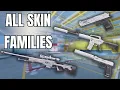 Every CS2 Skin Family Explained Asiimov Printstream Neo-Noir