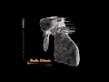 Clocks - Coldplay (Radio Edit)