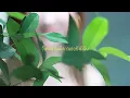 ยินดี Ost.มาตาลดา - sarah salola | COVERED BY : BBOWY._