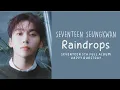 [LYRICS/가사] SEVENTEEN SEUNGKWAN (세븐틴 승관) - Raindrops