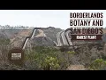 Borderwall Botany San Diego s Rarest Plant