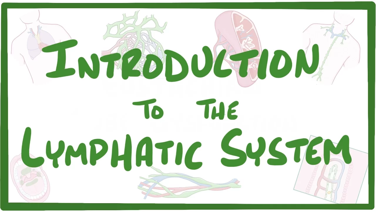 Outline Video Introduction to the Lymphatic System
