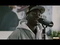 JEDSOUL: stems. Acoustic Performance
