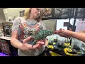 2023 MARYLAND REPTILE SHOW