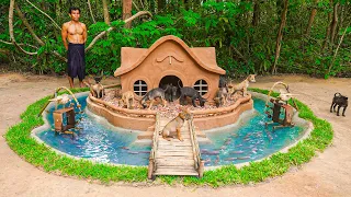 Puppies React to Their New Luxury Clay House with Fish Pond