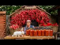 Download Lagu 🌶️ Red Pepper Season in the Village — Homemade Hot Sauce...