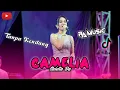 camelia - shintada || tanpa kendang || versi ra music fyp tiktok