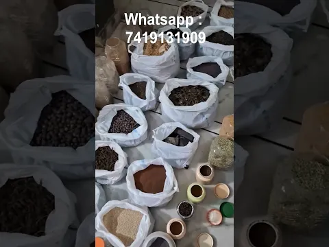 Grinding 108 Herbs for Shree Gorakh Dhooni