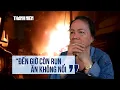 Download Lagu Đêm kinh hoàng của người dân cư xá Độc Lập: \