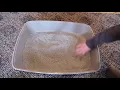 Dr Elsey s Precious Cat Respiratory Relief Cat Litter Review We Tried It