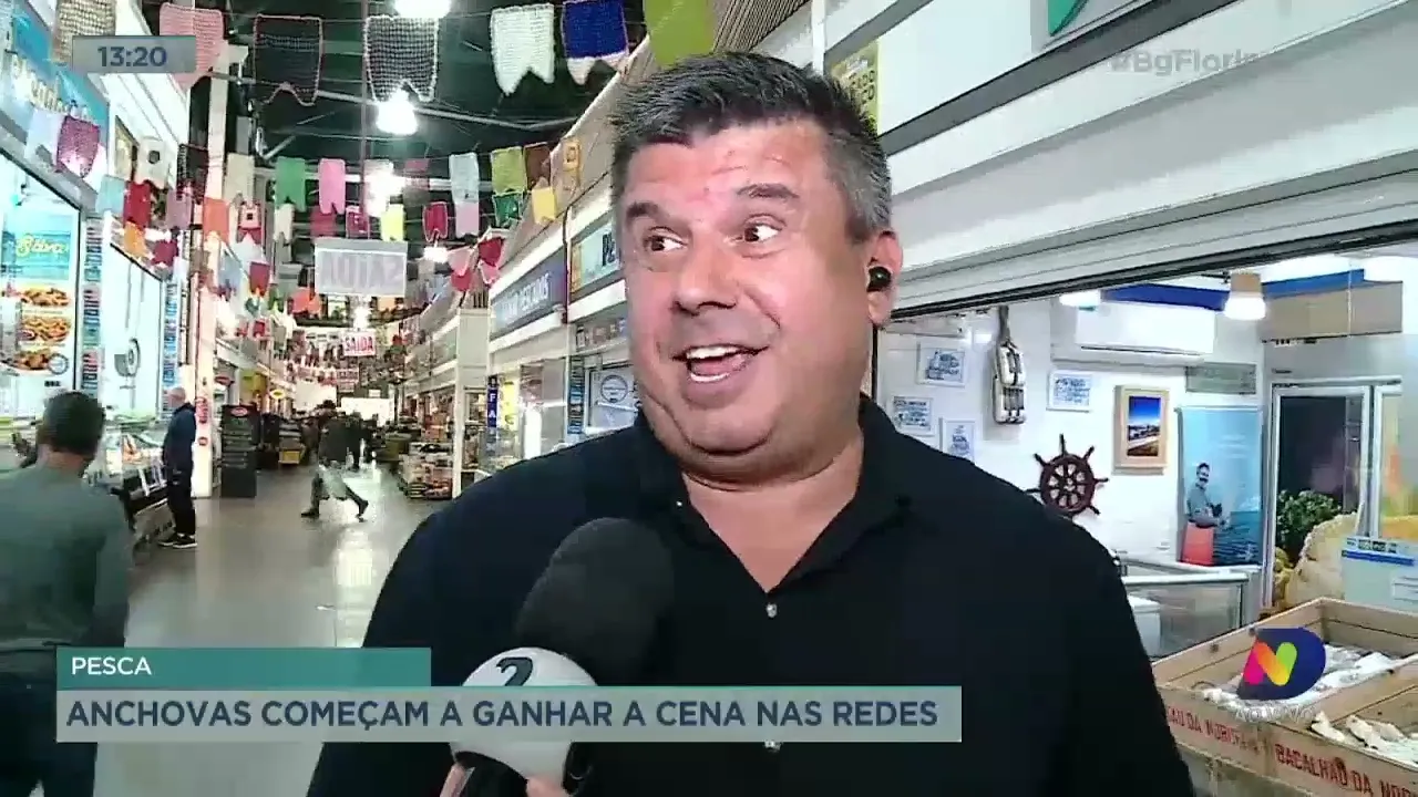 Anchovas começam a ganhar a cena nas redes de pesca