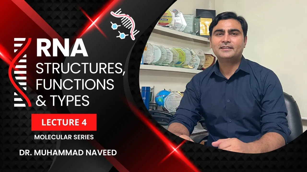 RNA | RNA Structure | RNA Functions | RNA Types | mRNA | rRNA | tRNA | Lec 4 | Dr. Muhammad Naveed