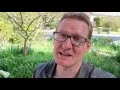 Learn Angular 2 in 21 Days Day 14 Using 3rd party JS Configuring an In-Memory RESTful endpoint