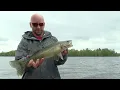 Great Walleye and Pike on Lake Kabetogama