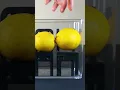 Letting my pet mold spread over to some lemons