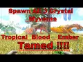 ark How To Spawn In All 3 Tropical Blood Ember Tamed Crystal Wyvern In Ark