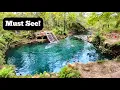 Don t Miss This Amazing Blue Hole in Florida Madison Blue Springs