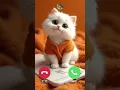 Download Lagu Cute Cat Calling Iphone Ringtone #ringtone #smartphone #iphone #call #cat #cutecat #happycat #mycat