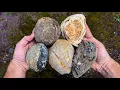 Download Lagu Cutting the Best Brazilian agate ever!