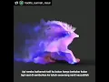 Download Lagu gimana panasnya api hutamah.?