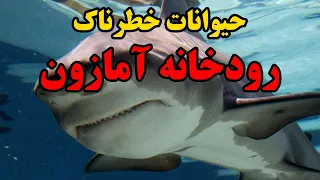 سه تا از حیوانات خطرناکی که در رودخانه آمازون زندگی میکنند Shorts 