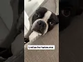 ANGELINE VARONA ANGIEVARONA INSTAGRAM STORIES COMPILATION DICIEMBRE 07 2018