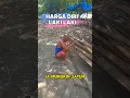 Download Lagu harga diri laki-laki. #satuklikuntukwujudkanimpianmu #kerjadarirumah #motivasikerja #viral #fyp