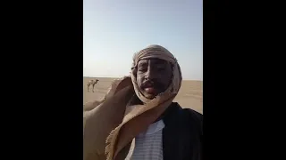 الغـــــــــــــربه 