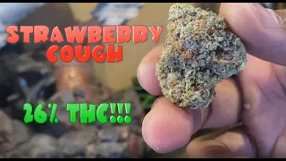 Weed Smoking Session - Strawberry Cough