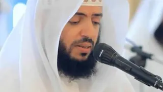 سورة المائدة بصوت الشيخ وديع اليمني 