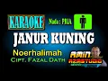 Download Lagu JANUR KUNING Noer Halimah KARAOKE Nada PRIA