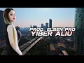 Elsen Pro - Ylber Aliu