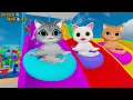 Download Lagu Water Park Me Billi Ke Bachhe | Cat Cartoon | Kittens | Meow Meow | Cat Videos