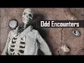Fallout 4 5 Strange and Rare Random Encounters You May Have Missed in The Wasteland