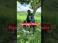 Lagu Ukungcweka ngeZulu Cuphisa Zungu VS Hlabisa