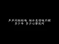当年情 国语版 张国荣 (歌词版)