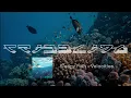 Sleepy Fish - Velocities