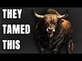 The First Livestock Was Absolutely Insane