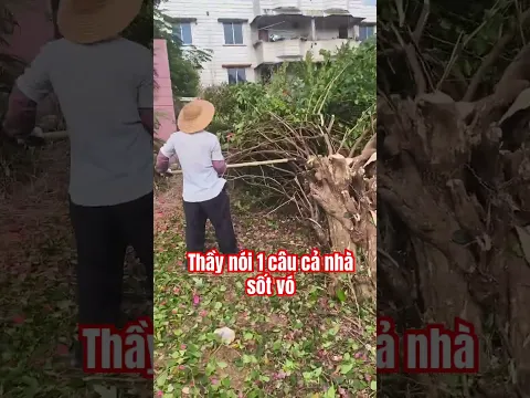 Gốc đưa về nhà thầy làm phép