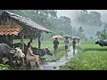 Download Lagu This is Himalayan Village  During The Heavy Rainy Season | Daily Activities People in Village Life