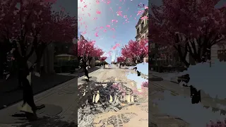 كتارا Katara Qatar 